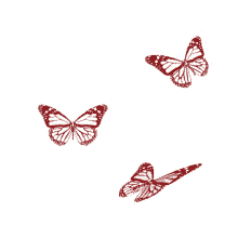 flapping borboletas