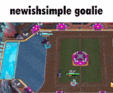 a screenshot of a video game with the words newish simple goalie
