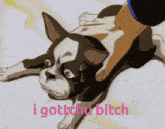 a picture of a dog with the words " i gottchu bitch " on the bottom