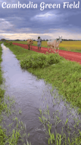 a poster for cambodia green field with a man plowing a field