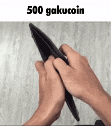 a person is holding an empty wallet with the words 500 gakucoin written above it .