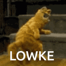 Lowke Garfield GIF