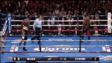 wilder boxing angry ppunch