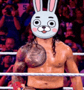 a man in a wrestling ring with a rabbit mask on his face