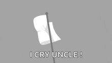 a white flag is waving in the wind and the words `` i cry uncle '' are written below it .