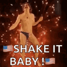 Fireworks Fourth Of July GIF - Fireworks Fourth Of July Shake It Baby GIFs
