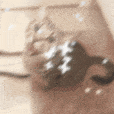 a blurry picture of a cat with a white x on it
