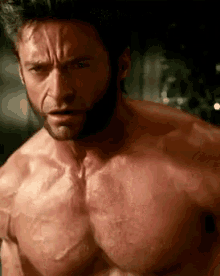 X Men Apocalypse Wolverine GIF - X Men Apocalypse Wolverine GIFs
