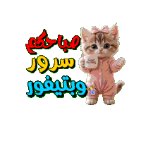 a cat holding a cup that says " good morning "