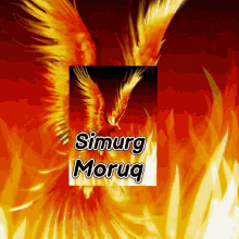 Simurg Moruq GIF - Simurg Moruq Simurg Moruq GIFs