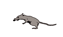 cursed rat rat ugly rat