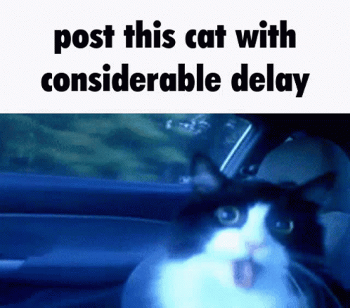 Post This GIF - Post This Cat GIFs