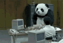 Panda Mad GIF - Panda Mad Pissed GIFs