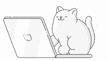 smiling cat cat cute cat cat typing cat wagging tail
