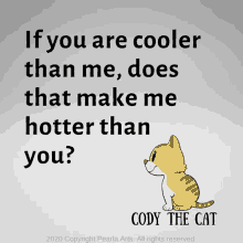 Cool Funny Cat GIF - Cool Funny Cat Meme GIFs