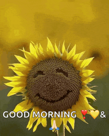 a sunflower with a smiley face and the words " good morning " below it