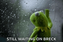 kermit the frog is standing in front of a window with rain drops on it and says `` still waiting on breck '' .