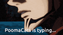 Poomacats Is Typing GIF - Poomacats Is Typing Poomacats GIFs
