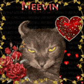Meevin GIF - Meevin GIFs