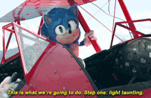 Sonic This Is What Were Going To Do GIF - Sonic This Is What Were Going To Do Step One GIFs