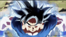 Dragon Ball Z Super Goku GIF