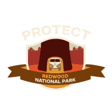 protect more parks trees camping protect redwood national park redwood