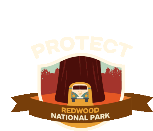Protect More Parks Trees Sticker - Protect More Parks Trees Camping Stickers