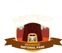 Protect More Parks Trees Sticker - Protect More Parks Trees Camping Stickers