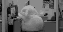 Rabbit Exhausted GIF - Rabbit Exhausted Tired GIFs