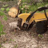 a yellow machine is cutting a tree stump in the ground