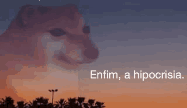 [Imagem: enfim-a-hipocrisia-dog-meme.png]