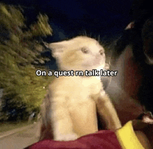 a cat is sitting on a person 's shoulder with the words `` on a quest rn talk later '' above it .