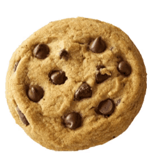 crunch cookie