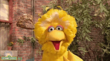 Method Bird GIF - Talking Big Bird Sesame Street GIFs