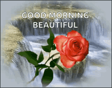 Good Morning Flowers GIF - Good Morning Flowers Waterfall GIFs
