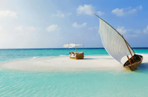 maldives-package-from-bangalore-maldives-honey-moon-package-from-trivandrum.gif