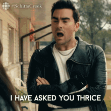 I Have Asked You Thrice David GIF - I Have Asked You Thrice David Dan Levy GIFs