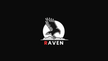 Raven Onecube GIF - Raven Onecube Discord GIFs