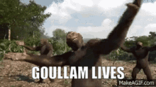 Goullam Lives Monkey GIF - Goullam Lives Monkey Chechen Chimp GIFs
