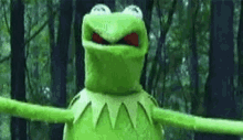 Weird Kermit GIF - Weird Kermit Funny As Hell GIFs