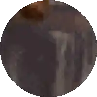 a pixelated image of a person 's face in a circle on a white background