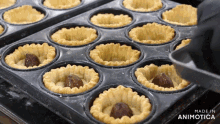 a tray of tarts with the words made in animotica on the bottom right
