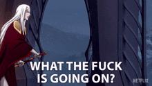 What The Fuck Is Going On Carmilla GIF - What The Fuck Is Going On Carmilla Castlevania GIFs