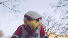 Clawed Z Eagle Mascot GIF - Clawed Z Eagle Mascot American University GIFs