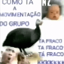 a turkey standing next to a baby and a dog .