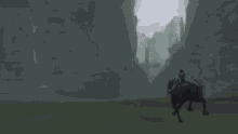 Shadow Of The Colossus Sotc GIF - Shadow Of The Colossus Sotc Sony GIFs