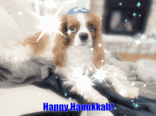 Philbert Jewish GIF - Philbert Jewish Hanukkah GIFs