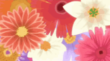 Flowers Anime GIF - Flowers Anime Intro GIFs