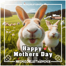 a picture of two rabbits with the words happy mothers day on the bottom