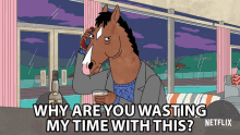 why are you wasting my time with this will arnett bojack bojack horseman dont waste my time